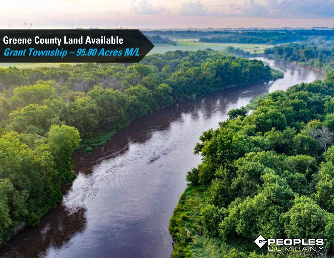 Listing Photo: Greene-Co-Rec-Land-Available-95-Acres-19559 (3)
